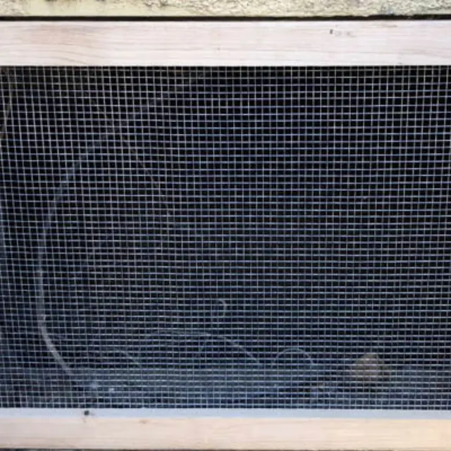 Technician installing rodent proofing at a structural entry point