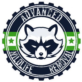 Advanced Wildlife Removal