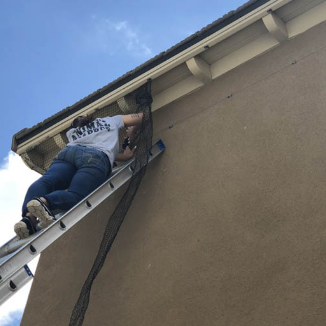 Technician inspecting an Orange County roofline for wildlife entry points