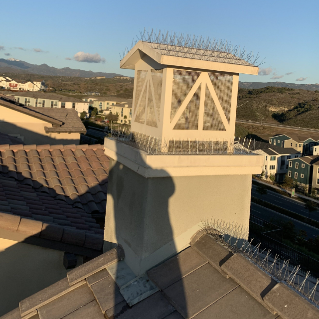 Bird control and pigeon proofing service