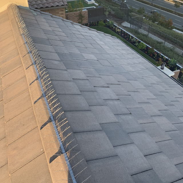 Roof inspection for wildlife entry points