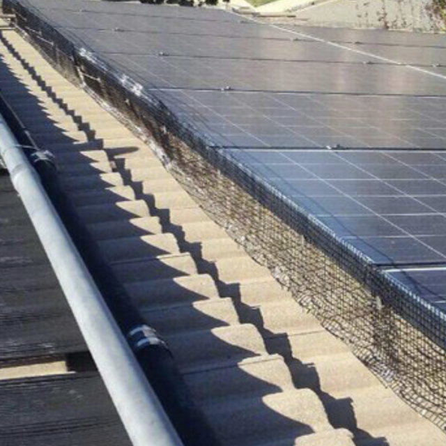 Roofline inspection for wildlife exclusion