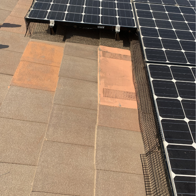 Solar panel pigeon proofing and bird control